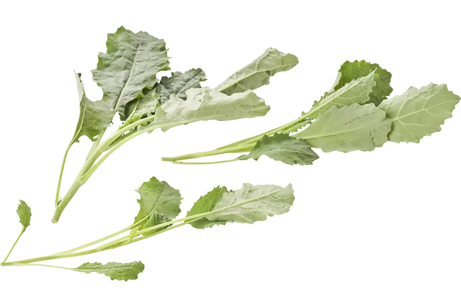 Mini palm cabbage 200gr piece